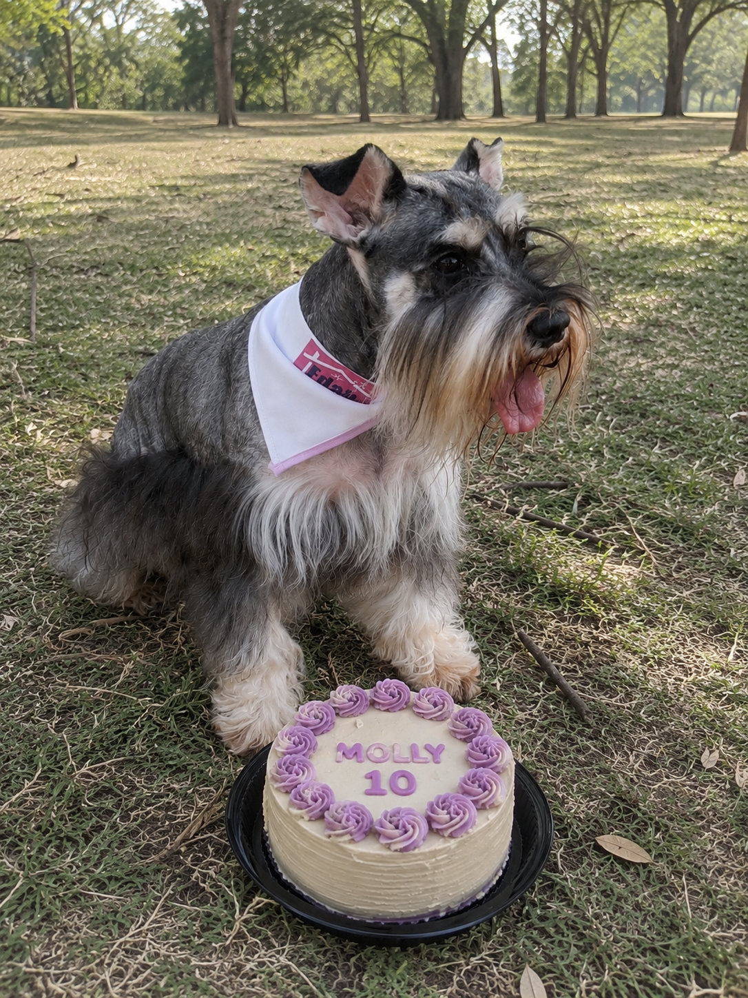 Molly celebrando sus diez años junto a su pastel